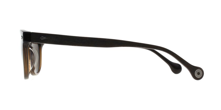 Anson Benson BF2019S046 Sunglasses - Side View